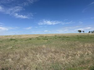 Country side View from Brush CO