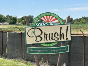 Brush CO Signage