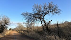 Fall River KS Scenic Walkabout Roads And Lake And Scenery 44