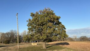 Fall River KS Scenic Walkabout Roads And Lake And Scenery 46