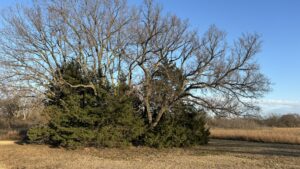 Fall River KS Scenic Walkabout Roads And Lake And Scenery 47